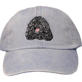 Embroidered Baseball Caps Light Blue  Puli D149