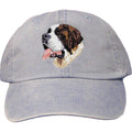 Embroidered Baseball Caps Light Blue  Saint Bernard DM251