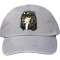 Embroidered Baseball Caps Light Blue  Saluki D76