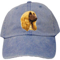 Embroidered Baseball Caps Denim  Afghan Hound D42