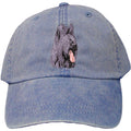 Embroidered Baseball Caps Denim  Briard D72