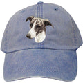 Embroidered Baseball Caps Denim  Greyhound D69