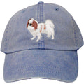Embroidered Baseball Caps Denim  Japanese Chin DV213