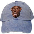 Embroidered Baseball Caps Denim  Labrador Retriever DM444