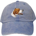 Embroidered Baseball Caps Denim  Pointer DV465