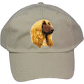 Embroidered Baseball Caps Grey  Afghan Hound D42