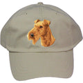 Embroidered Baseball Caps Grey  Irish Terrier D89