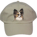 Embroidered Baseball Caps Grey  Papillon DV463