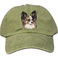 Embroidered Baseball Caps Green  Papillon DV463