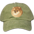 Embroidered Baseball Caps Green  Pomeranian D103