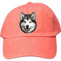 Embroidered Baseball Caps Peach  Alaskan Malamute D33