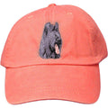 Embroidered Baseball Caps Peach  Briard D72