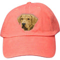 Embroidered Baseball Caps Peach  Chesapeake Bay Retriever D143