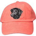 Embroidered Baseball Caps Peach  Curly Coated Retriever D137