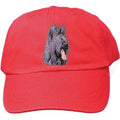 Embroidered Baseball Caps Red  Briard D72