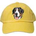 Embroidered Baseball Caps Yellow  Greater Swiss Mountain Dog DV379