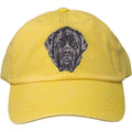 Embroidered Baseball Caps Yellow  Mastiff D135