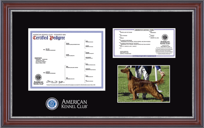 American Kennel Club Masterpiece Pedigree, Registration, & 5