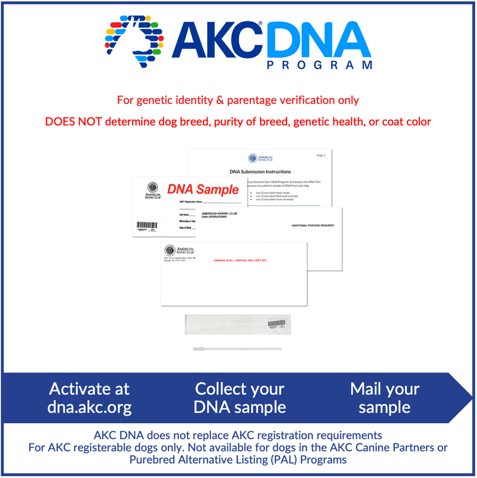 AKC DNA Kit