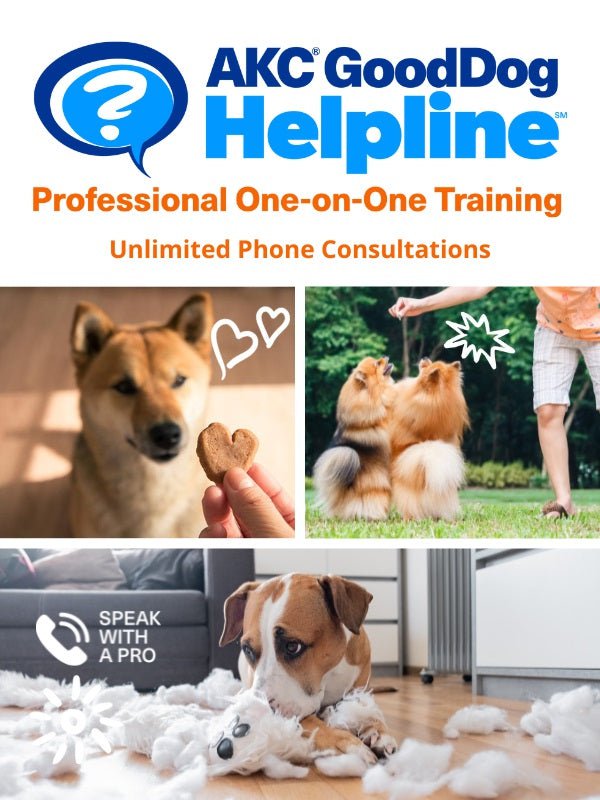 AKC GoodDog Helpline