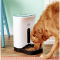 Arf Pets Automatic Dog & Cat Feeder, 4-meal
