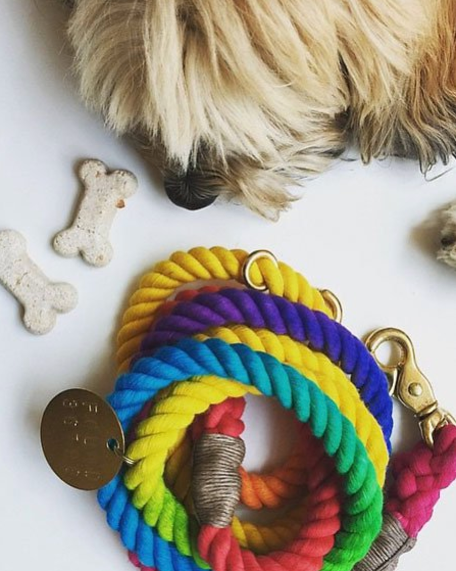 Found My Animal Adjustable Ombre Rope Dog Leash, 7-ft