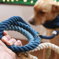 Found My Animal Adjustable Ombre Rope Dog Leash, 7-ft