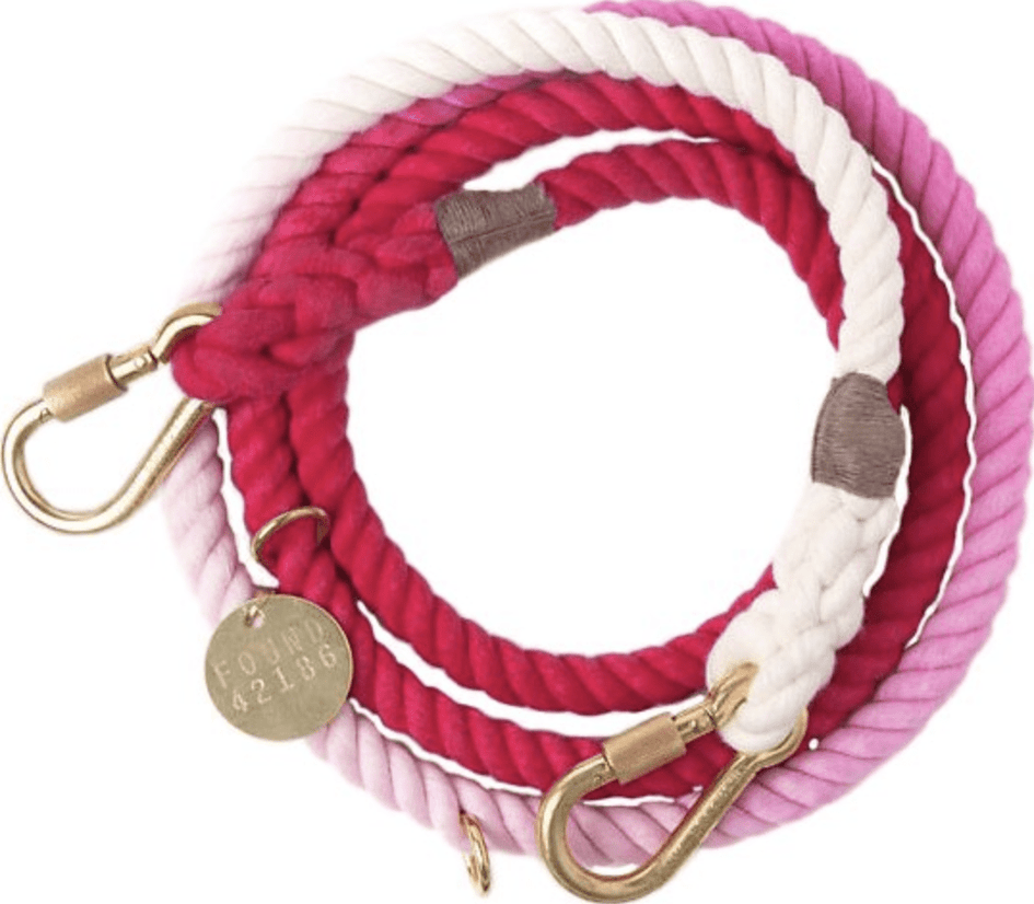 Found My Animal Adjustable Ombre Rope Dog Leash, 7-ft