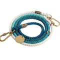 Found My Animal Adjustable Ombre Rope Dog Leash, 7-ft