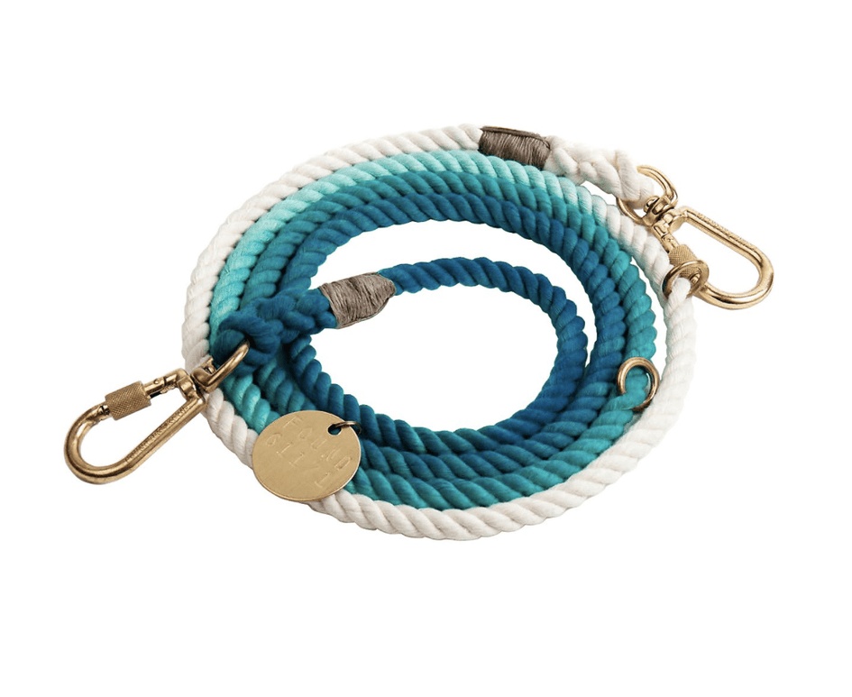 Found My Animal Adjustable Ombre Rope Dog Leash, 7-ft
