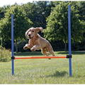 Trixie Agility Dog Training Hurdle