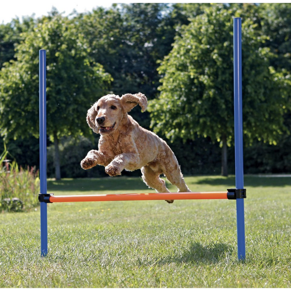 Trixie Agility Dog Training Hurdle