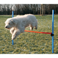 Trixie Agility Dog Training Hurdle