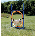 Trixie Agility Dog Training Ring