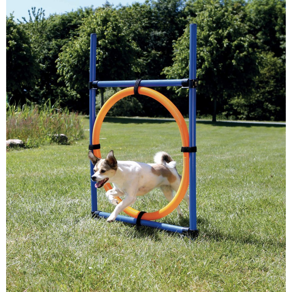 Trixie Agility Dog Training Ring