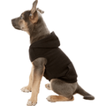 Frisco Dog Basic Hoodie