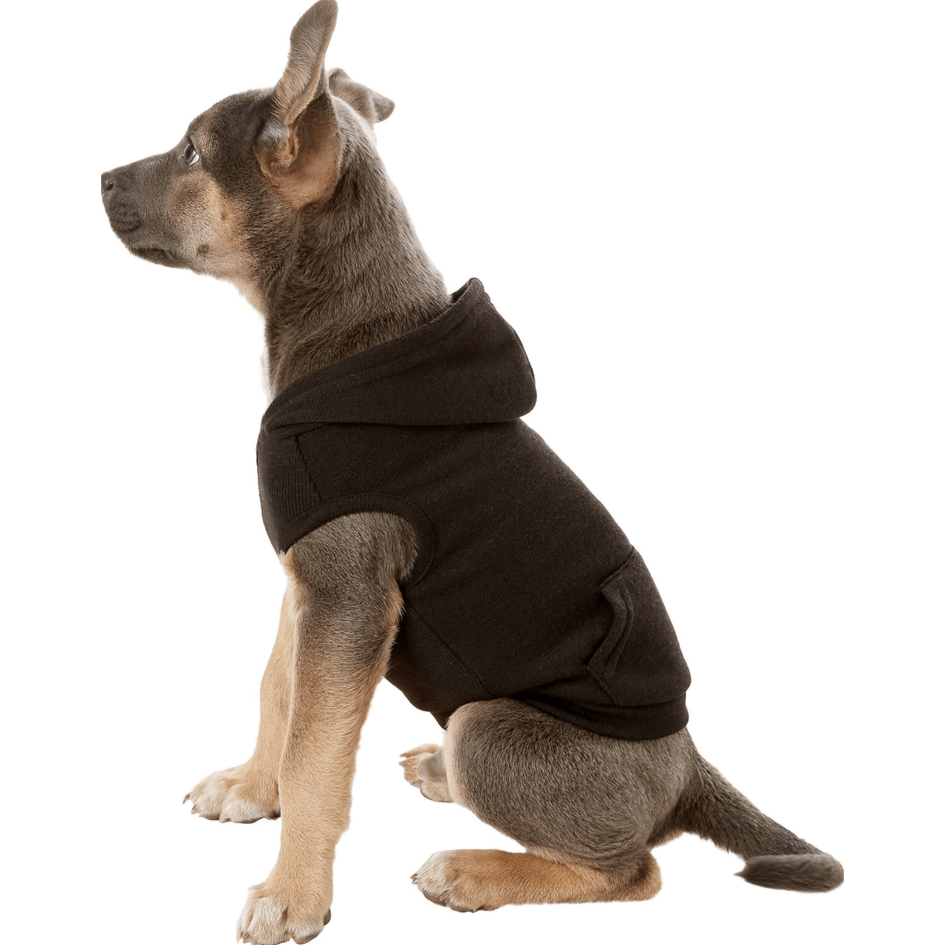 Frisco Dog Basic Hoodie