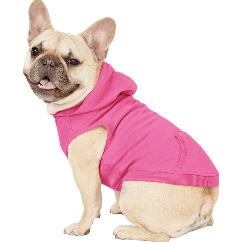 Frisco Dog Basic Hoodie