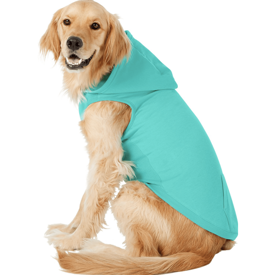 Frisco Dog Basic Hoodie