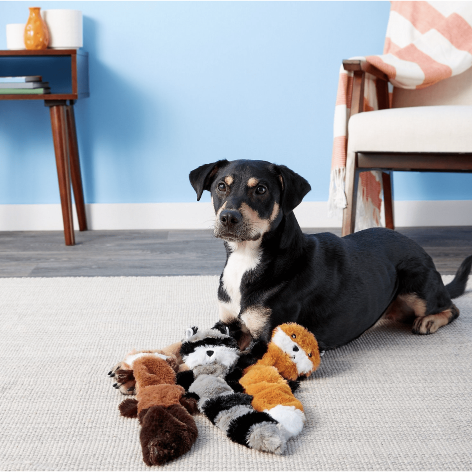 ZippyPaws Skinny Peltz No Stuffing Squeaky Plush Dog Toys, 3-pack, Large
