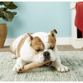 Petstages Dogwood Tough Dog Chew Toy