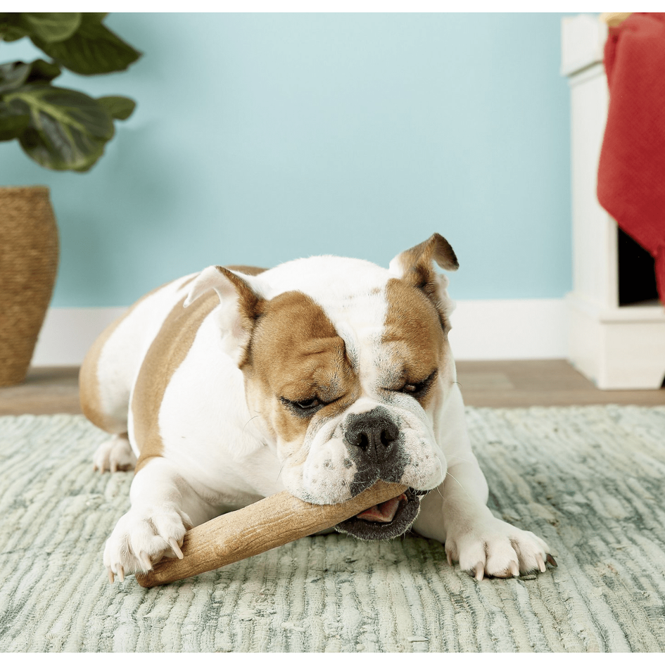 Petstages Dogwood Tough Dog Chew Toy