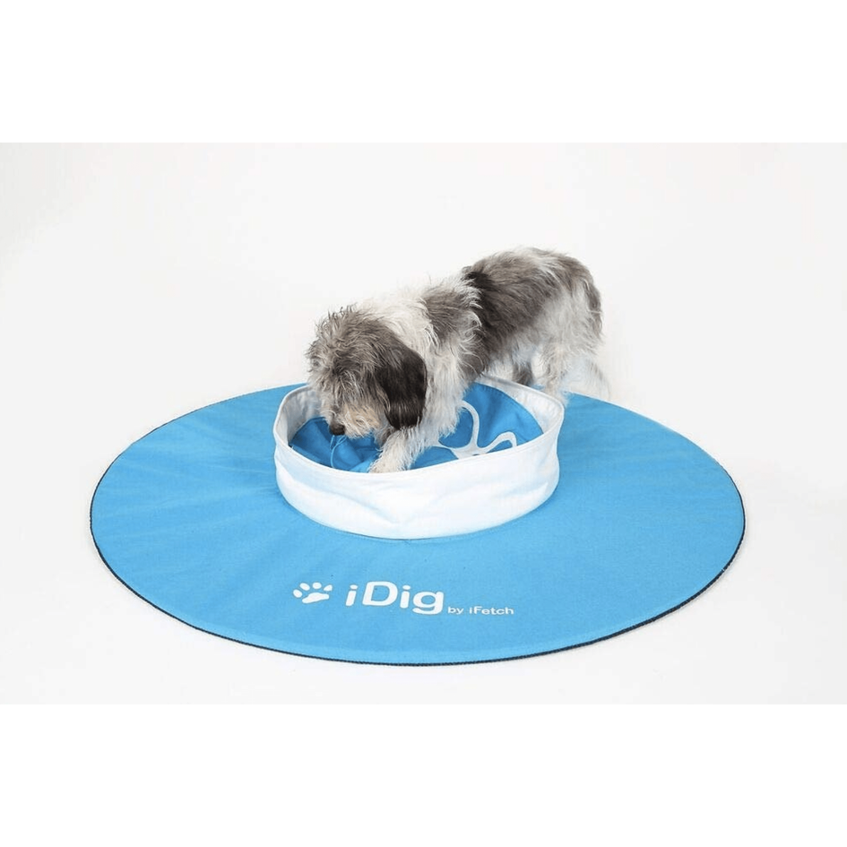iFetch iDig Go Dog Toy, Blue