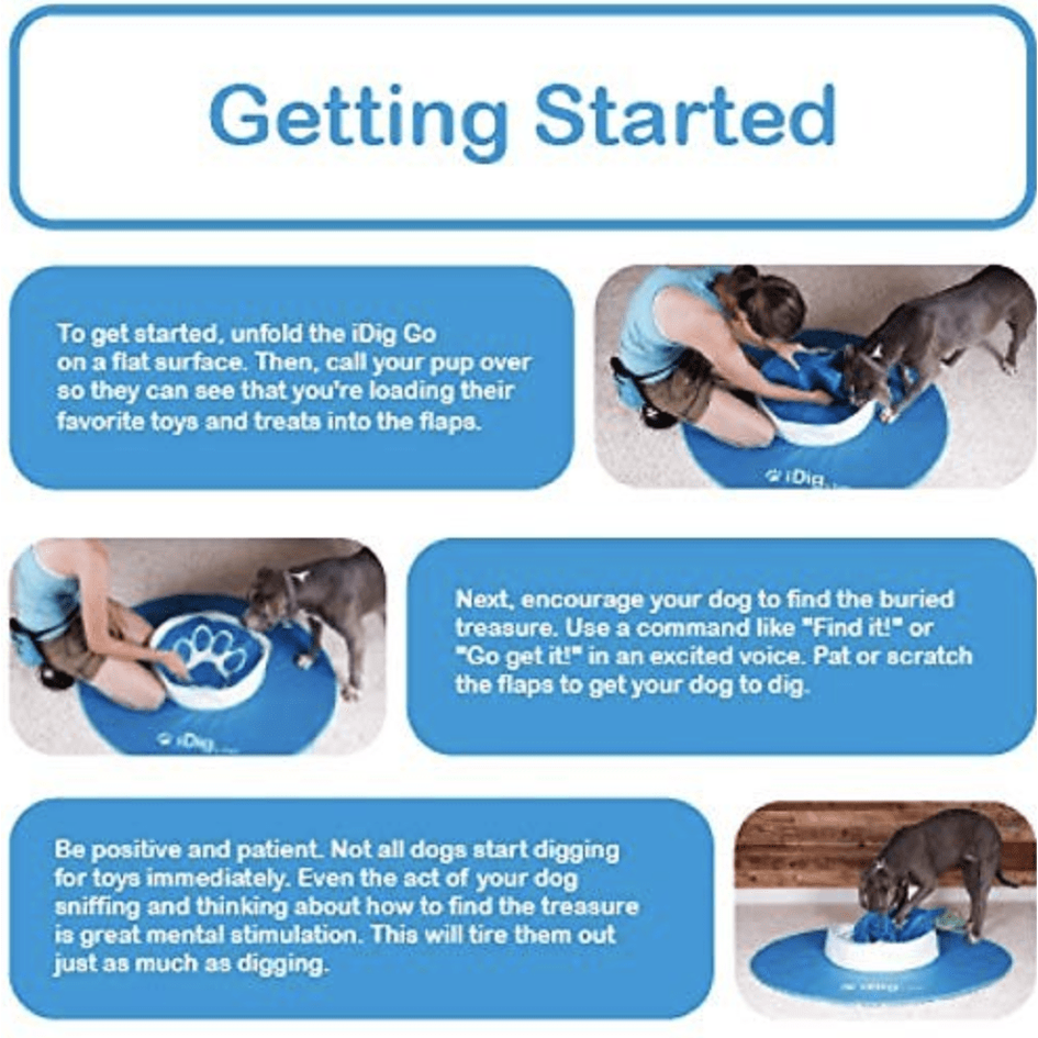 iFetch iDig Stay Dog Toy, Blue