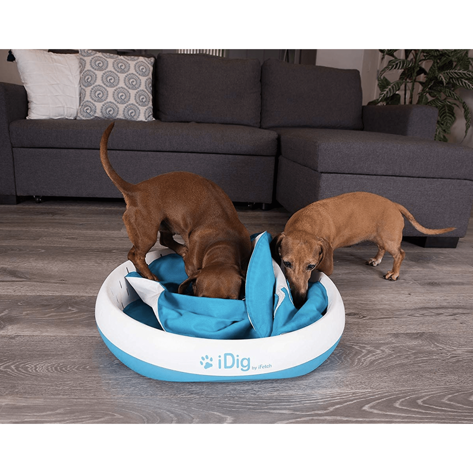iFetch iDig Stay Dog Toy, Blue