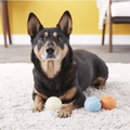Chuckit! Fetch Ball Medley Triple Pack Dog Toy