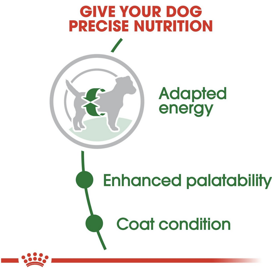 Royal Canin Size Health Nutrition Small Adult Formula Dog Dry Food