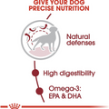 Royal Canin Size Health Nutrition Medium Adult Dry Dog Food