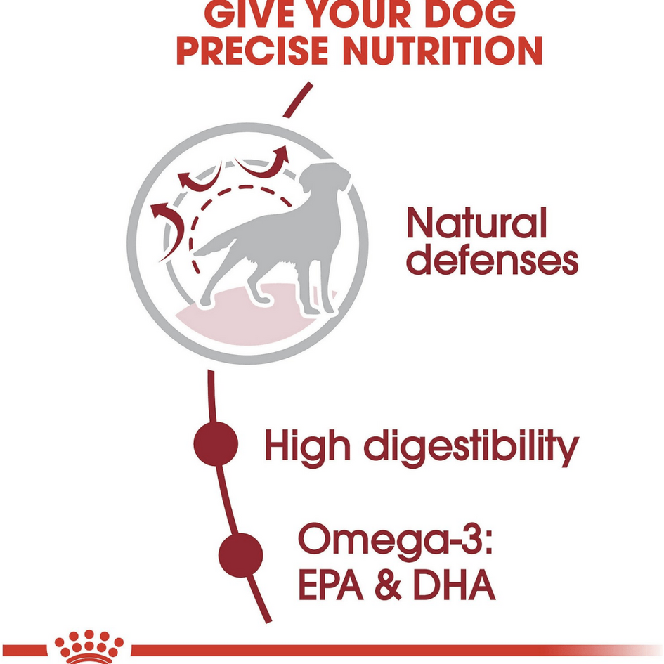 Royal Canin Size Health Nutrition Medium Adult Dry Dog Food