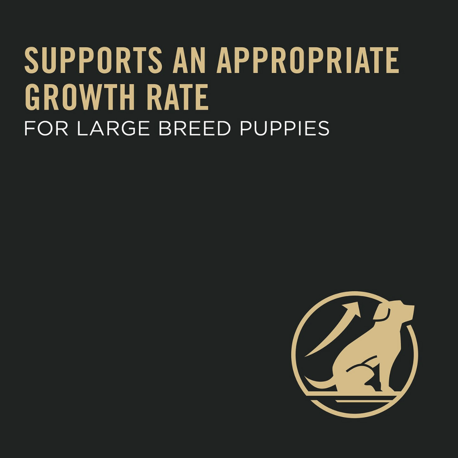 Purina Pro Plan Puppy Large Breed Chicken & Rice Formula with Probiotics Dry Dog Food